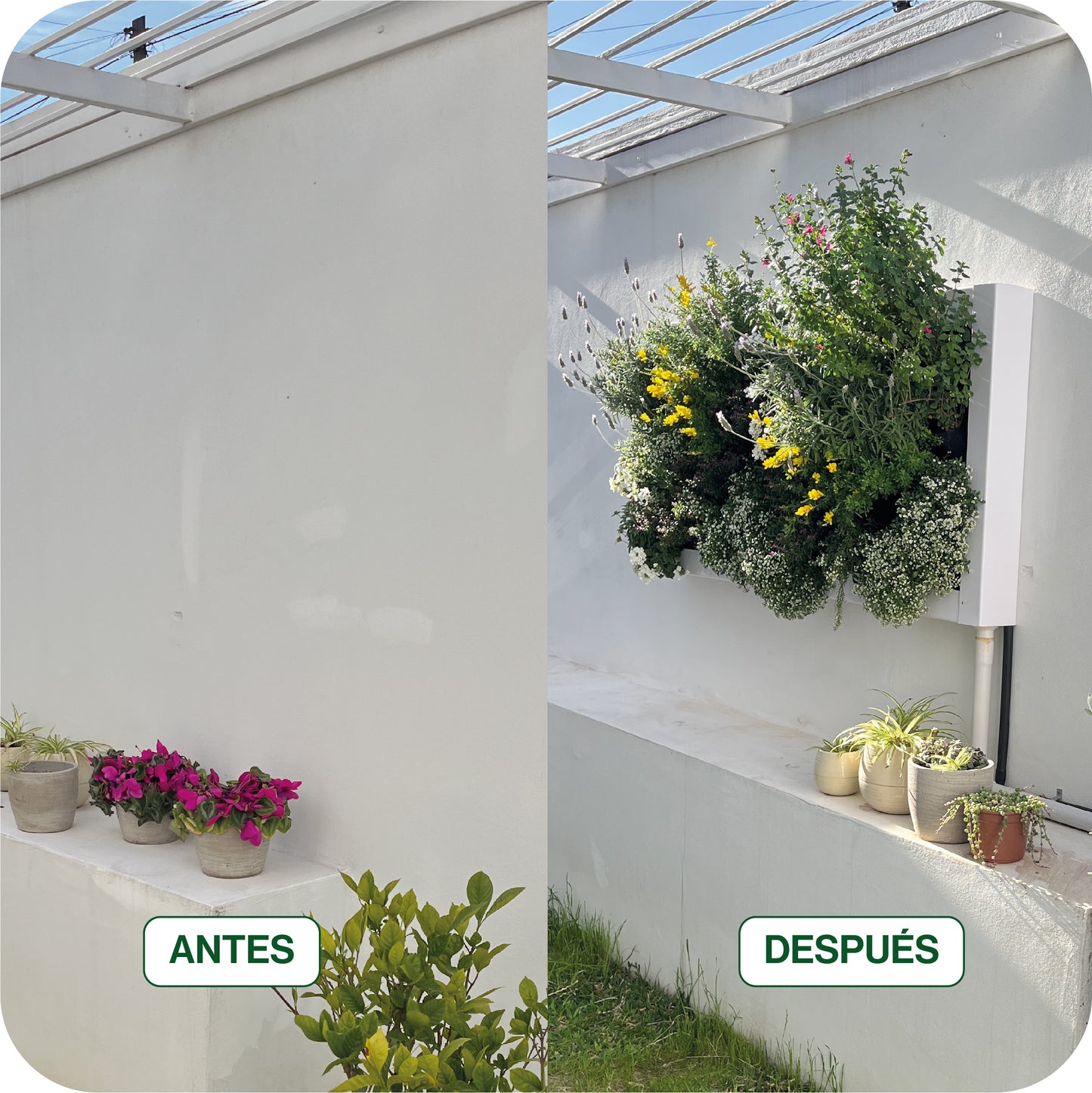 CURSO JARDÍN VERTICAL